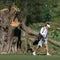 Image accompanying reporting about Judge continues to block Trump from cutting down trees at D.C. golf course