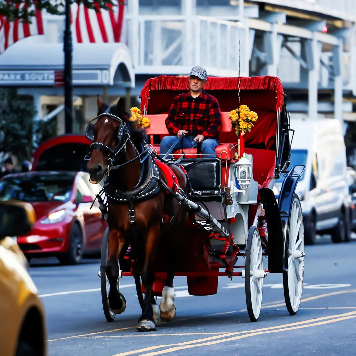 Image accompanying reporting about New York City Passes Horse Carriage Ban, Ending a Central Park Tradition
