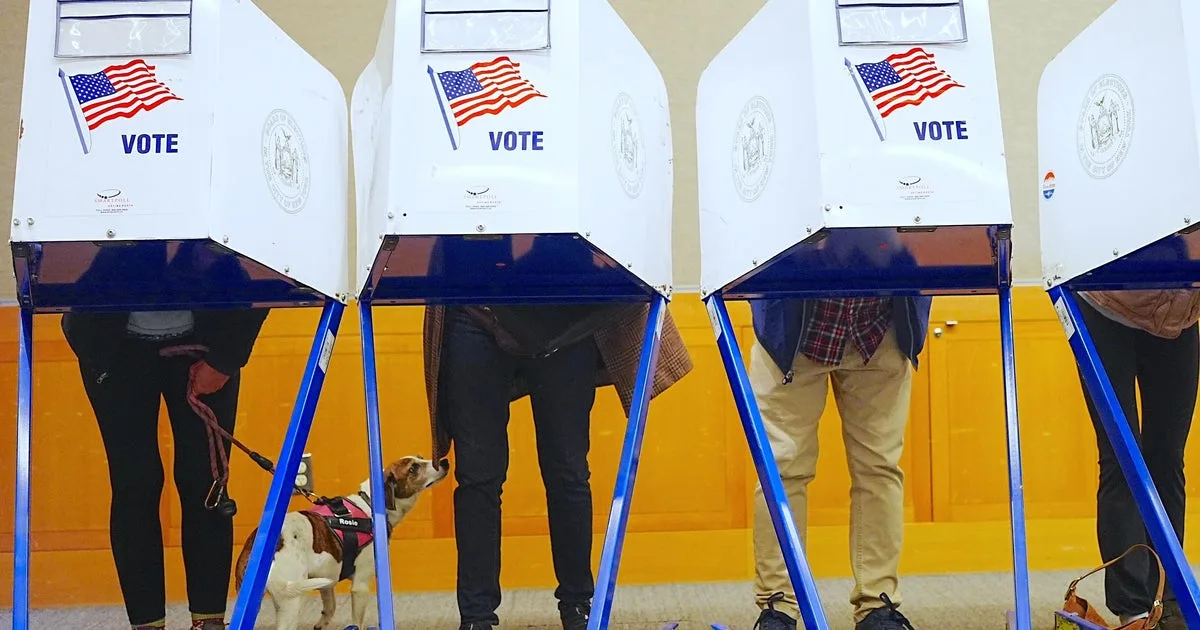Image accompanying reporting about "Your vote is your voice": A look at why voting matters