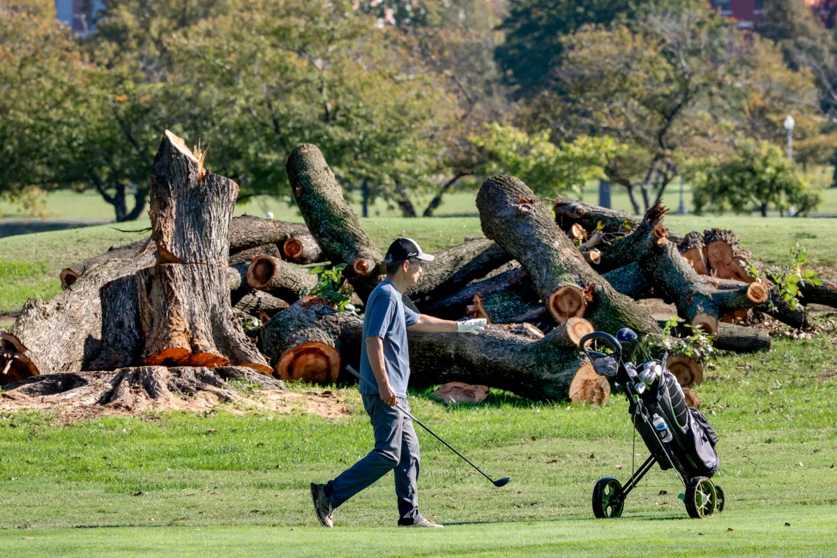 Image accompanying reporting about Trump to close and renovate D.C. golf course, despite legal battle